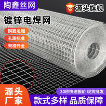 热镀锌电焊网现货内墙挂网铁丝网卷粉墙防裂外墙地暖保温钢丝网