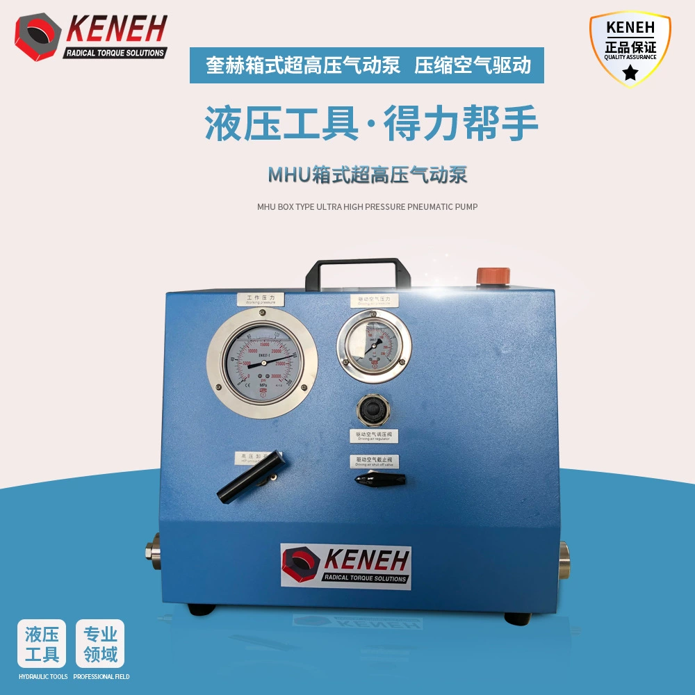 Миниатюрный газовый силовой агрегат высокого давления воды газ масло давление наддув из нержавеющей стали жидкий силовой агрегат высокого давления