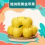 山东新鲜便当金黄礼盒