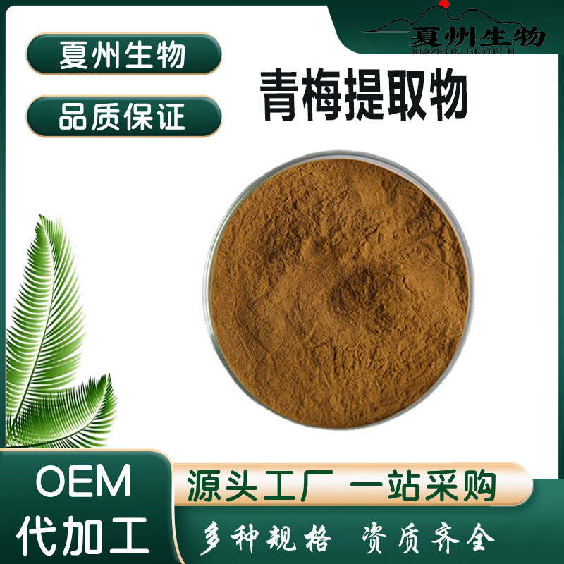 青梅提取物10:1 青梅果粉速溶 多规格 浸膏粉 喷雾干燥  夏州生物