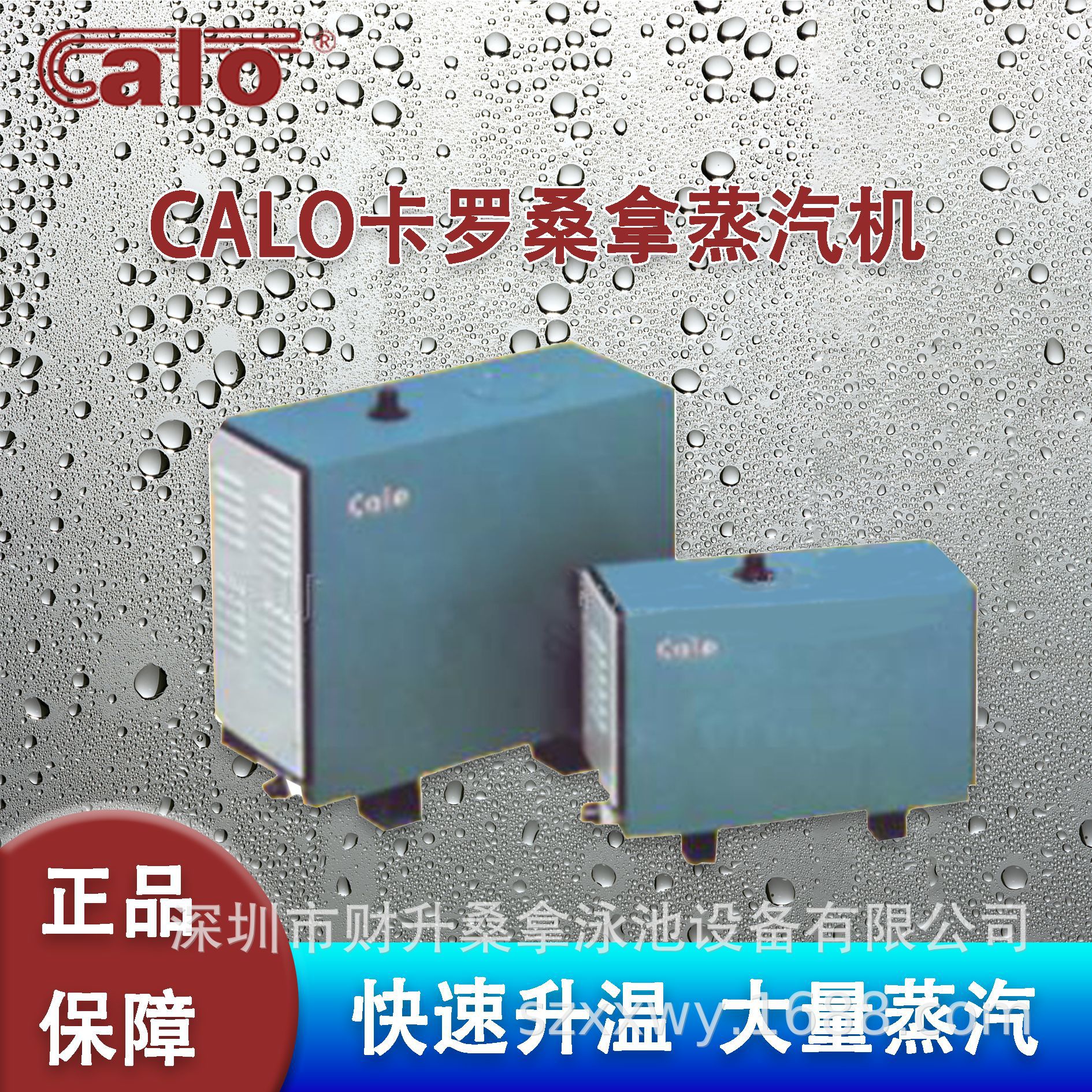 德国CALO卡罗正品桑拿房蒸汽机 汗蒸炉湿蒸机 湿蒸汗蒸房专用设备