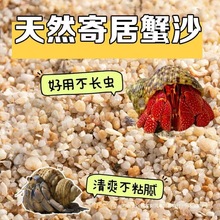 海沙寄居蟹沙水螃蟹底沙石天然垫材原生贝壳沙免洗鱼缸造景沙子