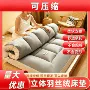 立体加厚垫子双人床褥子