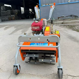 输送机;休闲食品加工;施肥机械