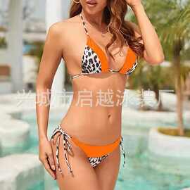 泳衣女新款比基尼性感小胸聚拢双色显瘦温泉泳装