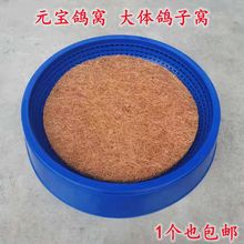 鸽子用品用具肉鸽塑料窝防侧翻窝元宝窝鸡窝塑料巢盆棕垫超大鸽窝