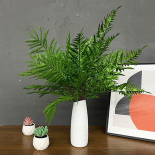 lGòݷ沨˹ֲϴݖřڇֲGֲ