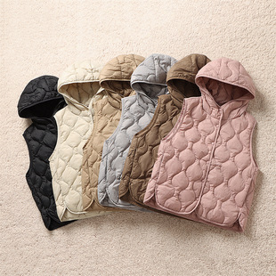 Cross-Border Fashion Short Lightweight Hooded down Vest Autumn and Winter Slimming Warm Versatile Single-Breasted Vest