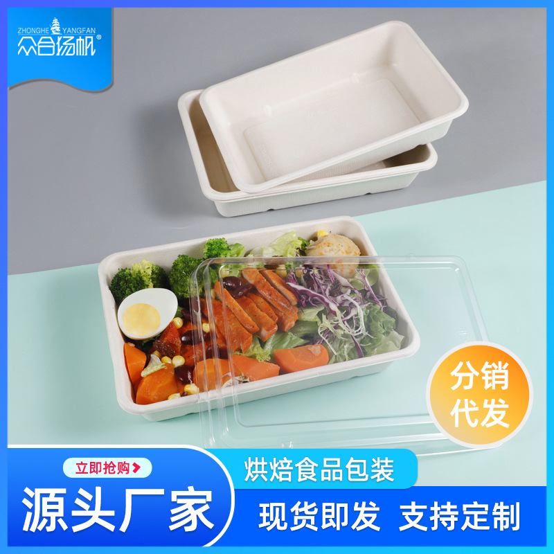 加厚大号一次性可降解纯纸浆轻食沙拉餐盒减脂餐寿司野打包盒野餐