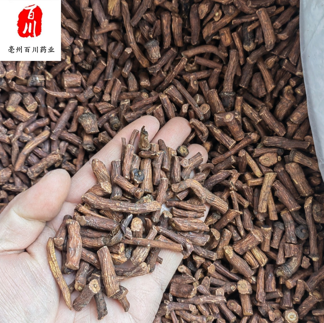 【批发】蒲公英根长白山蒲公英茶 新货婆婆丁蒲公英根 各种花草茶
