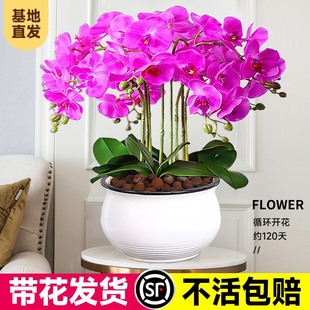 �滨�ؼ������m���Ԏ����߶�������p�����~���绨��������10��