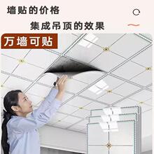 PVC�´ɴu�컨���N���Ӻ���ճһ˺���N�N������ԡ�ҷ�ˮ�������