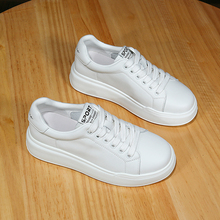 ��������Ƥ���ٴ��Ь��Ůins��2026�¿������e�p���n��С��Ь