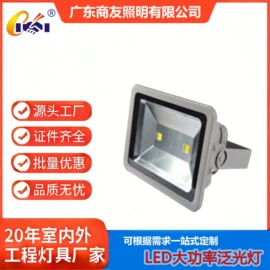 其他室内灯具;投光灯;景观灯