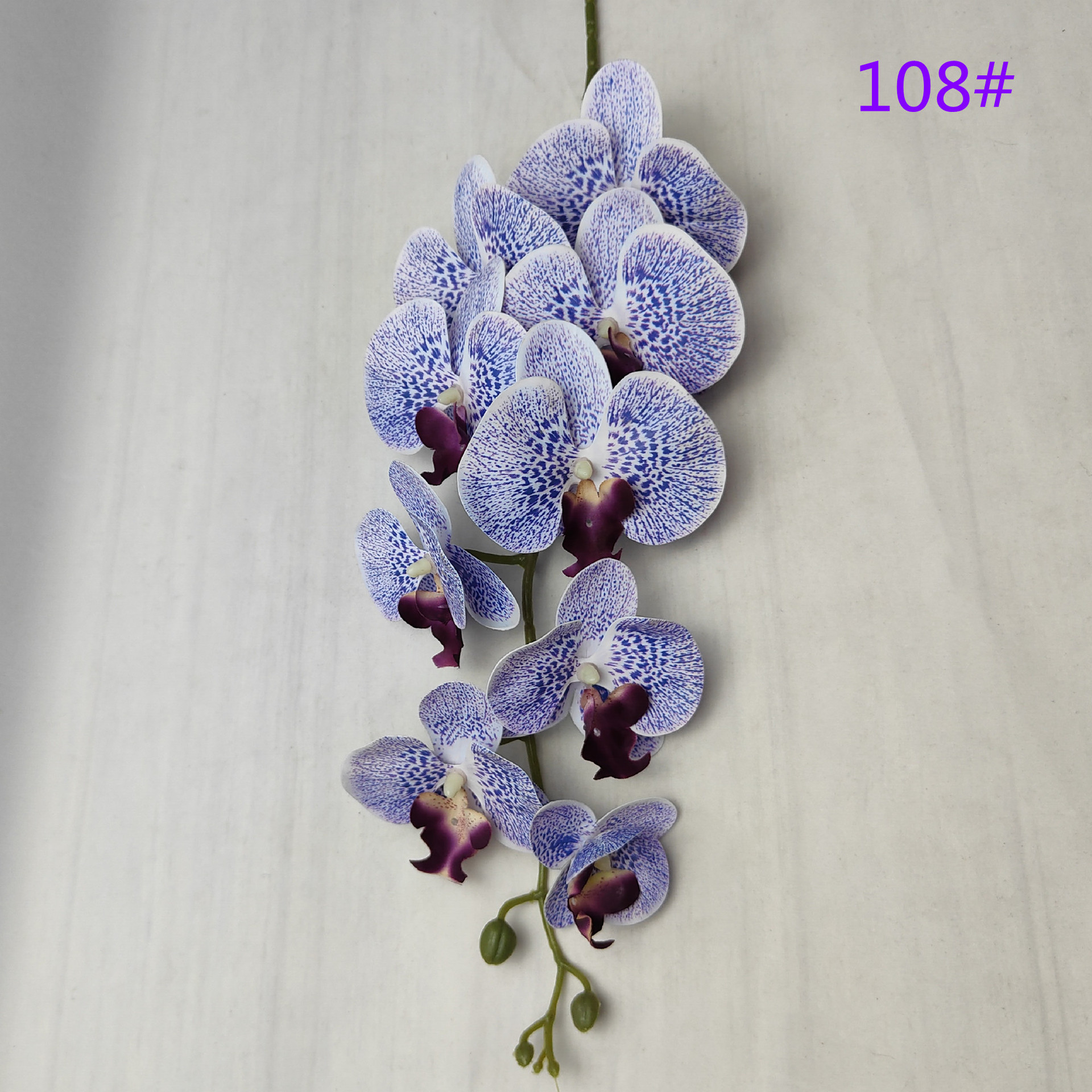 IMG20230509163105_副本