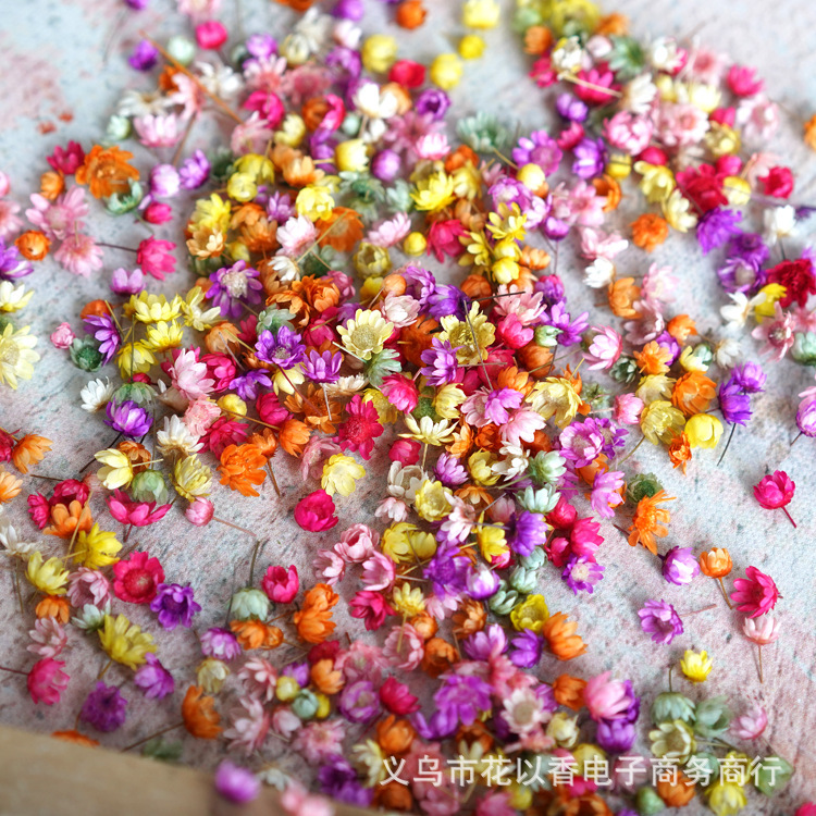 现货小星花花头diy干花水晶滴胶花头无杆子玻璃球填充物彩色粉色|undefined
