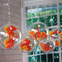 �̈������׃��@�b����T���L������錚��Շ����ȭh������