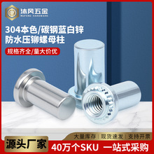 ̼�/���P��ܷ��T��ĸB/BS/BSS/BS4/316-M3M4M12���T��ˮ��ĸ��