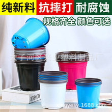 �pɫ�� �Nֲ���� ���绨�� ��ɫ���ϻ��� ������ ���� ���ϻ���