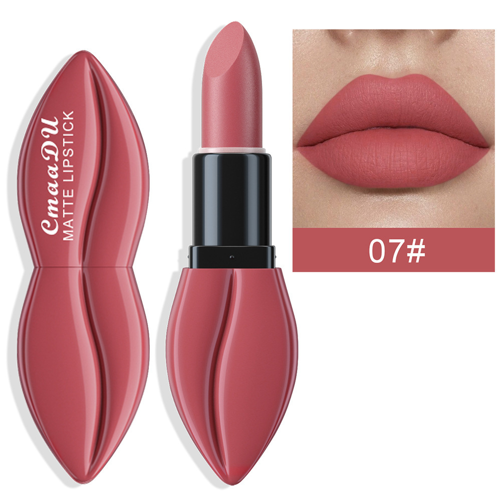 CmaaDu 10 Colors Matte Velvet Finish Long-lasting Moisturizing Lipstick Wholesale Cross-border Model_voghion.com