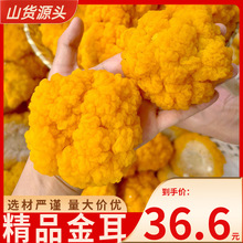 云南新鲜金耳特产食用菌散装煲汤食材搭银耳大朵金木耳产地现货