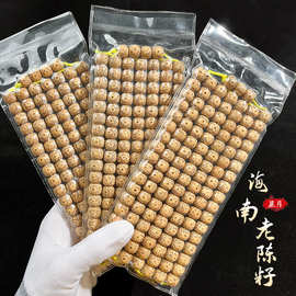 批发老陈籽星月菩提手串男女108颗黄金籽念珠文玩菩提子佛珠手链