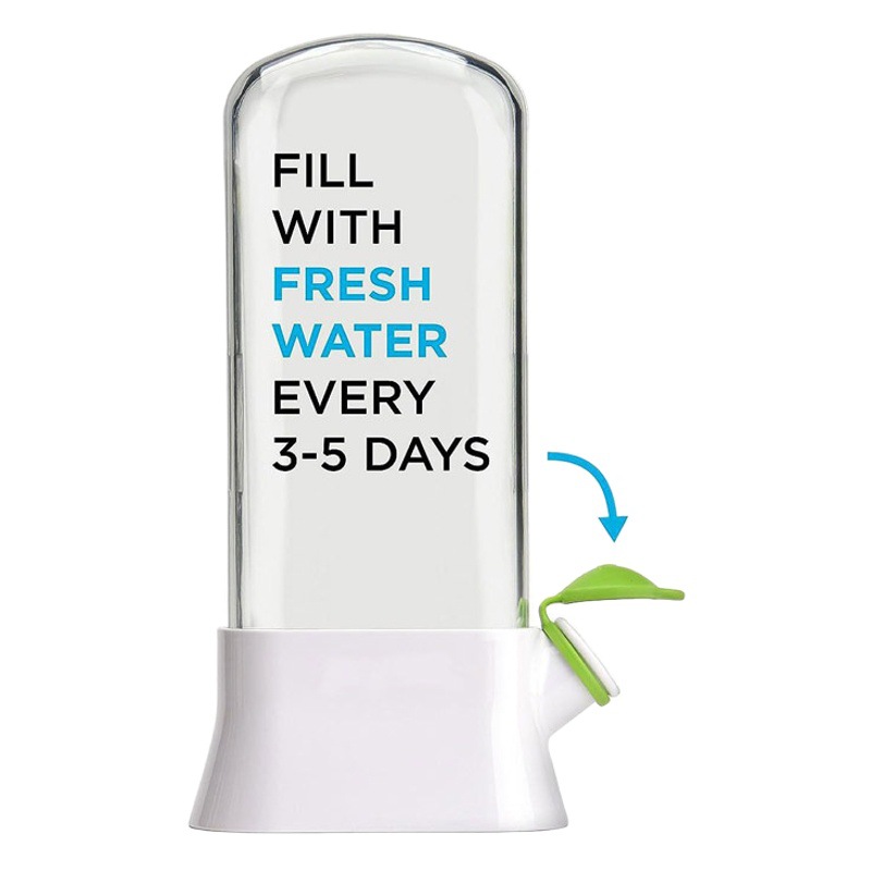 Contenedor para hierbas de vainilla y vegetales, ecológico y a prueba de aplastamiento, para Amazon/Shein.