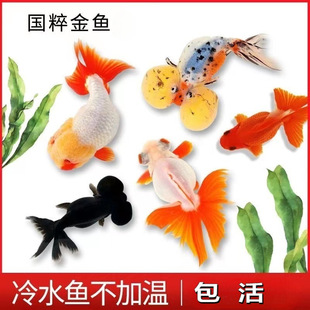 ���~���~�^�p�~С�͵�ˮ���B��ˮ�~�����m��̩�{�̽�{���^�ݽ��~