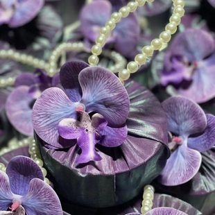 �Y��YƷ������ɰ��ֶY�Y�а��b�L�η�������W�t�Y������ϲ�Ǻ�