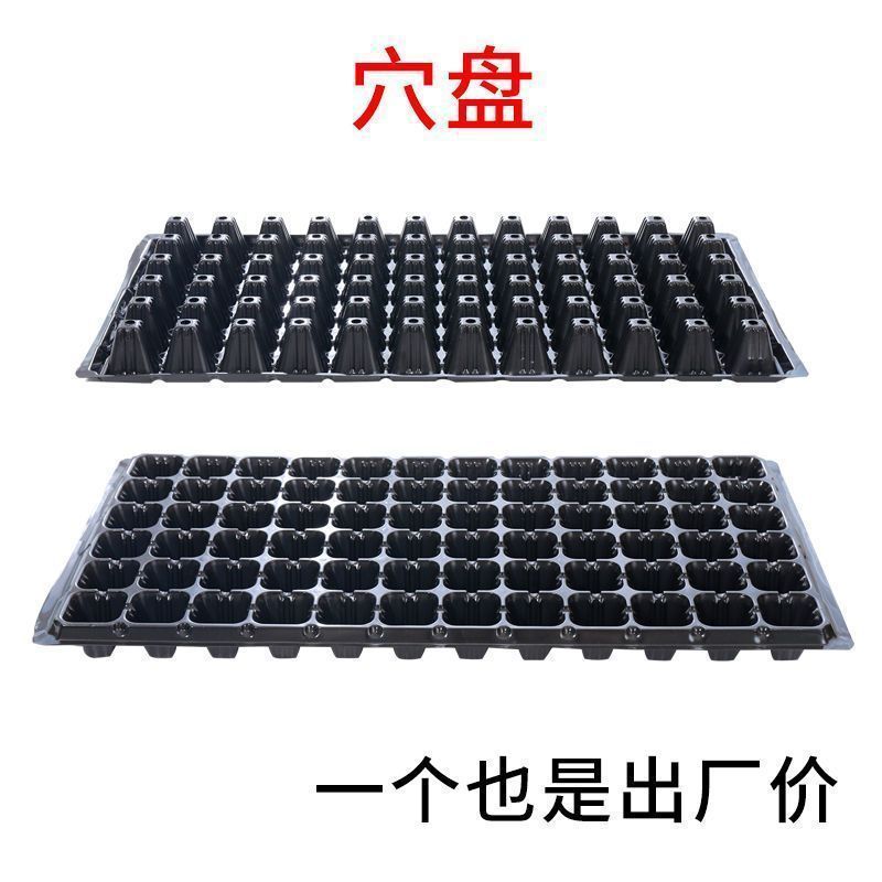 育苗穴盤育苗盤厚いPVC野菜多肉芽菜挿し木盤唐辛子苗盤いちご育苗盆|undefined