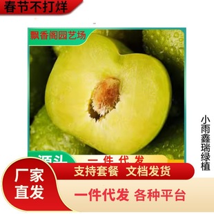 һ�����l���Ә�����ش�ͥԺ��������ϱ����Nֲ�޽ӷ������A����
