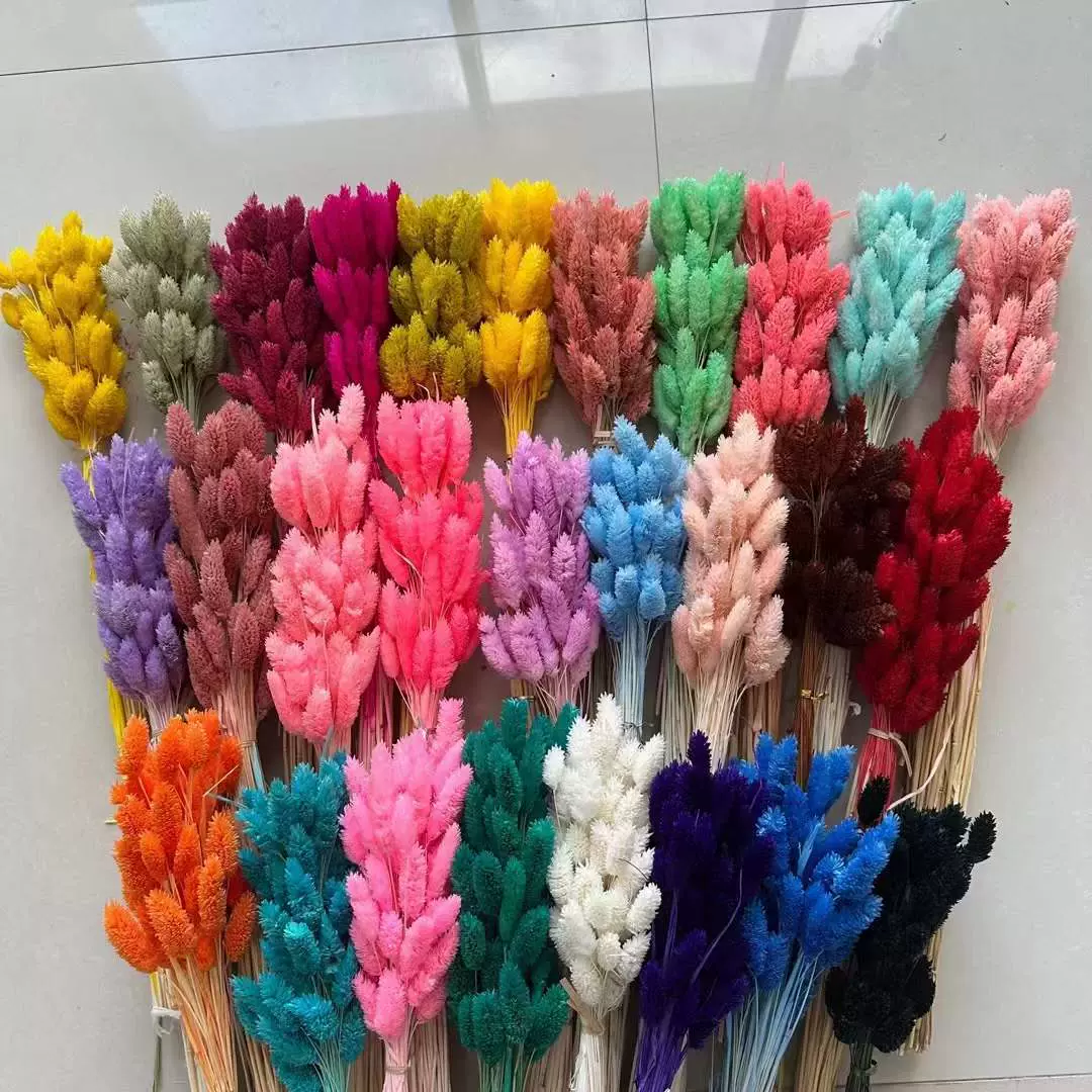 【宝石草】干花花束狗尾巴草干花永生花批发花束跨境热卖diy配材