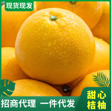 ���������� ���ּ���o���������rˮ���Fժ�F�l�ЋDˮ����������