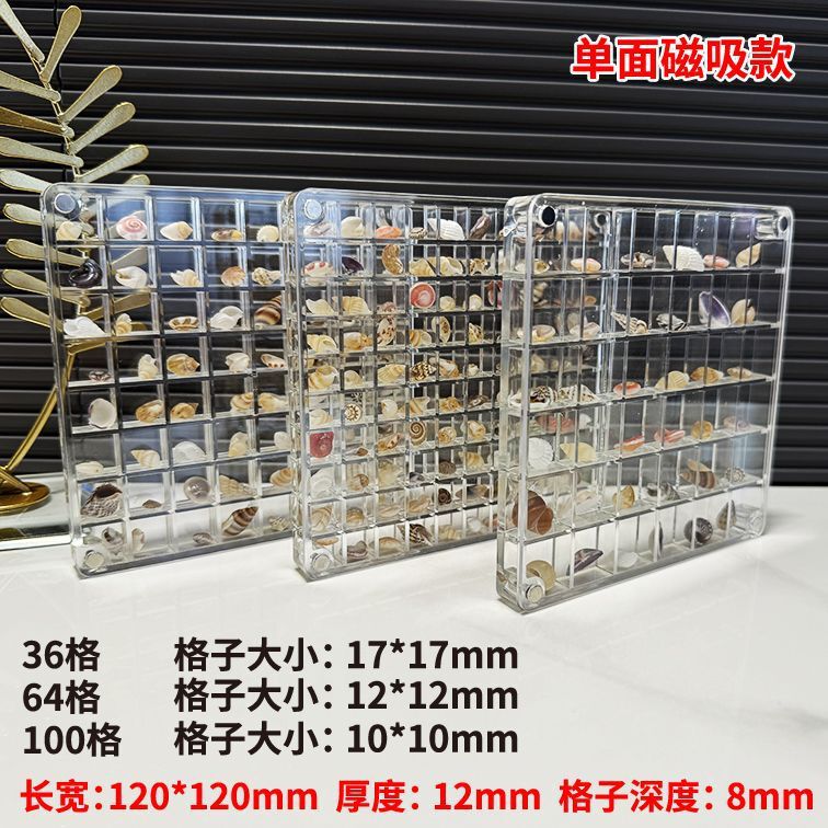 Micro-Shell Picture Frame High-Transparency Acrylic Shell Photo Frame Natural Mini Small Shell Conch Specimen Collection Box