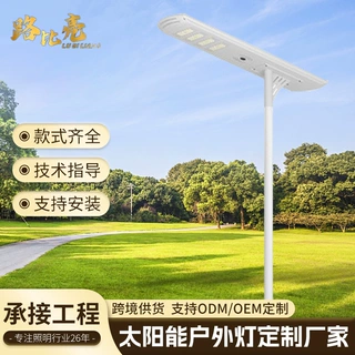 定制跨境外贸出口铝壳一体化太阳能路灯感应带监控高亮节能市政道