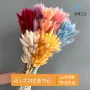 家居拍摄跨境花束兔尾草