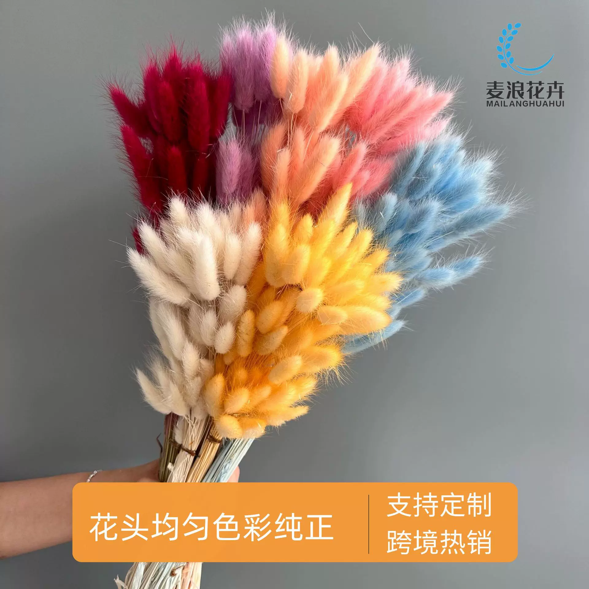 跨境干花花束兔尾草狗尾巴草小短草ins风家居装饰拍摄道具