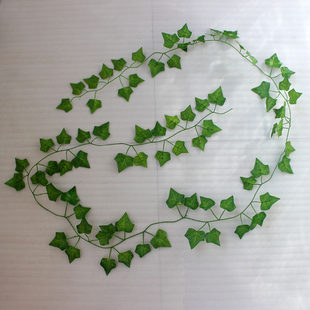 (Cross-border trading), artificial ivy, sconce, light green accessories, Amazon, 81/36