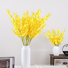 ���滨�������m �ҾӼٻ������ɻ��[����c�b廨�b��� �[��