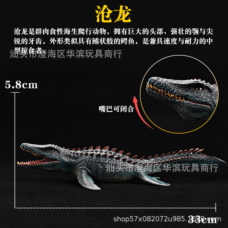 모사사우루스 C형 (240g)