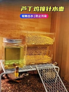 Rutin chicken drinker bird use pin strike drinker parrot automatic water feeder quail luding chicken kettle