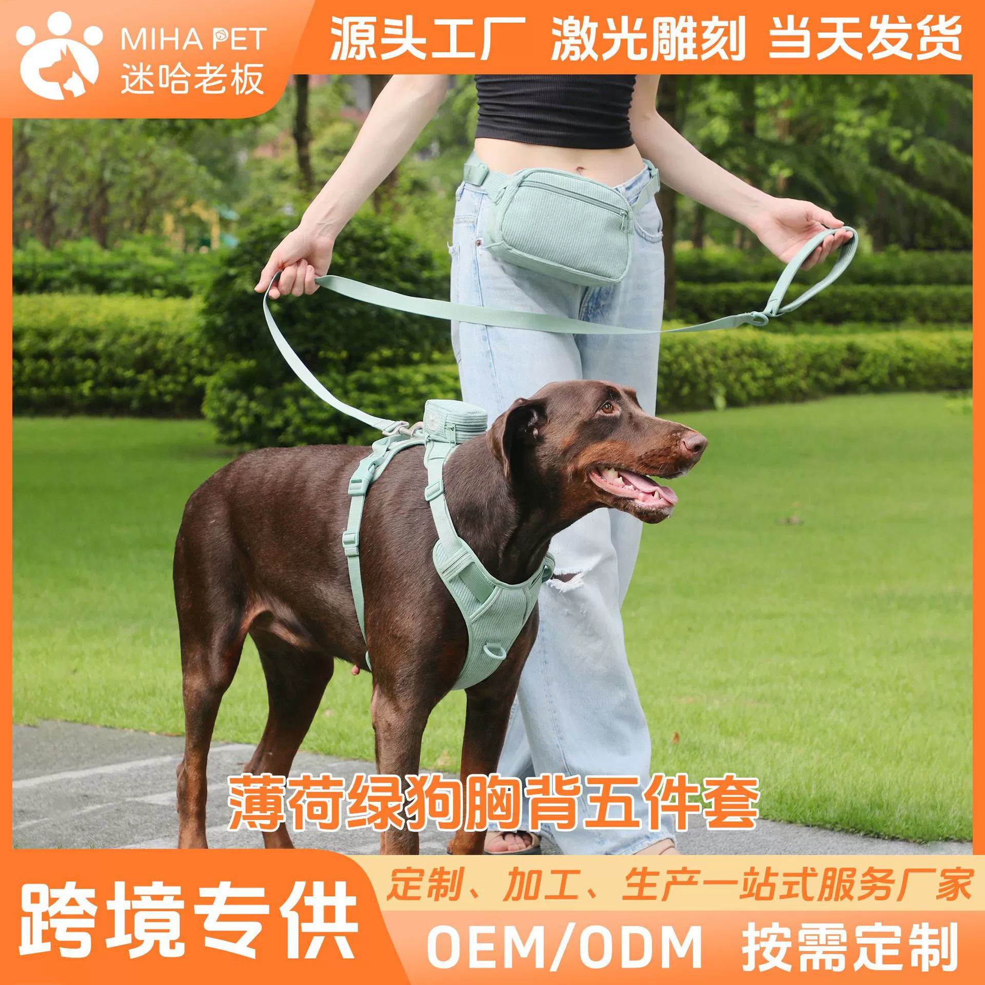 Ошейник для домашних животных взрывозащищенный жилет для собак ремешок для собак воротник Поводок костюм школьная сумка для домашних животных грудь и задняя крышка