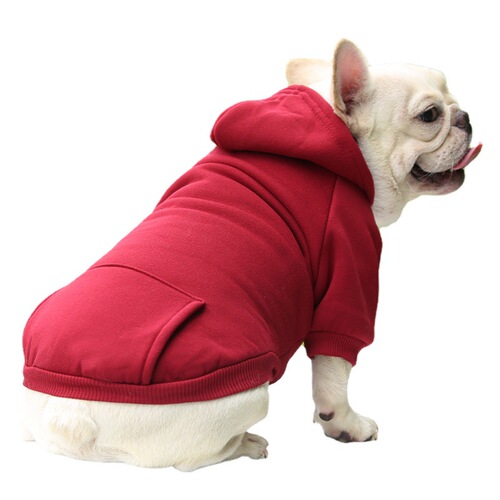 Autumn and Winter Cat Two-Legged Hoodie Pocket Dog Clothes Sports Style Dog and Cat Pet Clothes and Accessories