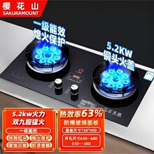 樱花 山燃气灶家用煤气灶嵌入式天然气灶台式液化气灶双猛火炉具