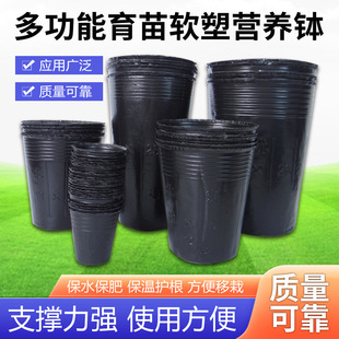 �I�B�����lһ�����������籭��ɫ���������軨�ܷNֲ��