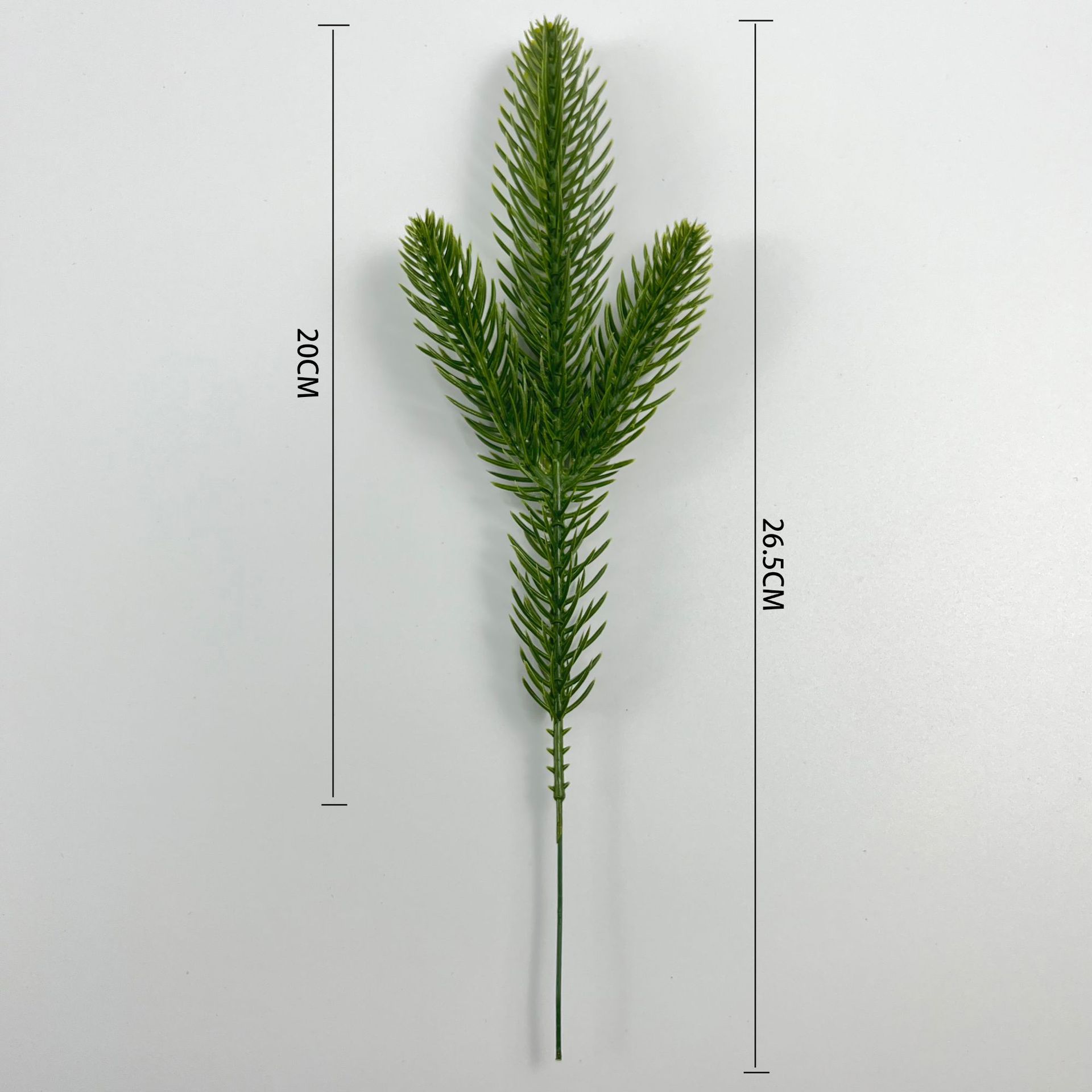 삼차 소나무 바늘-분말 무료