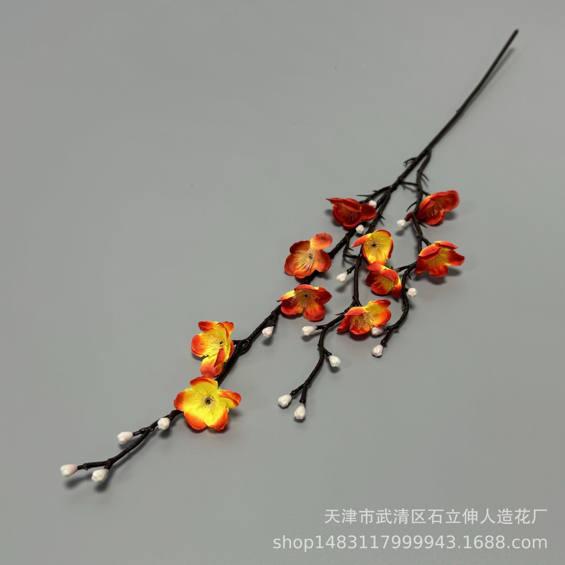 미니 선셋 레드