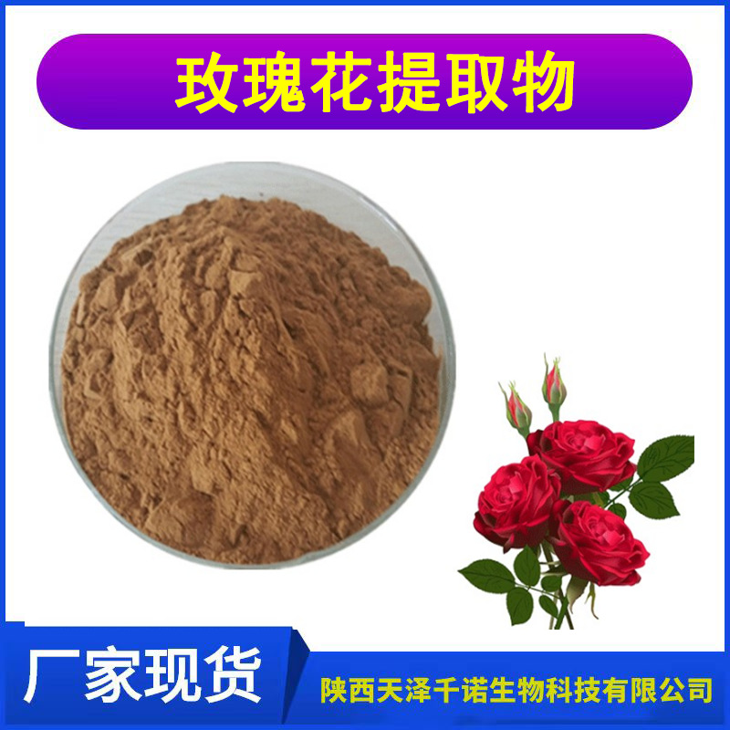 玫瑰花提取物 10:1 30:1水溶/玫瑰花提取粉 多糖 喷雾、干燥原料