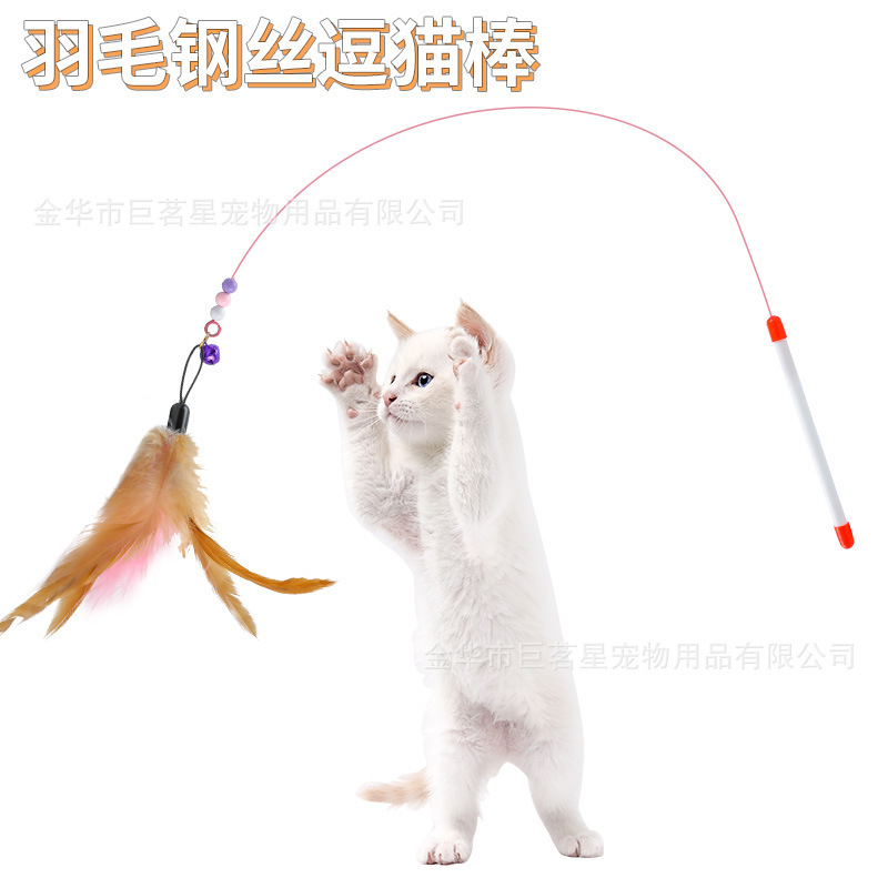 猫のおもちゃは猫の棒のワイヤーの羽を換えて頭の真珠の鈴をプラスして長く噛んで釣ります猫のインタラクティブな現物の卸売りに耐えます。|undefined