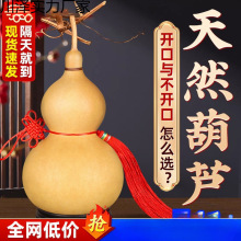 ��Ȼ���J�������J���Ї��Y�����_���T���T�͏d���P�[����̖����